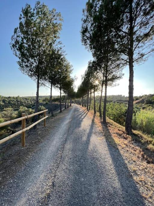 Apto. Rural Cielo. Al Lado Torre Херика Экстерьер фото
